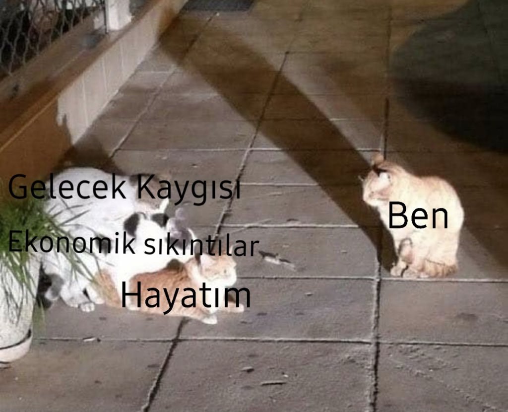 Gelecek Kaygıs Ekonomik...