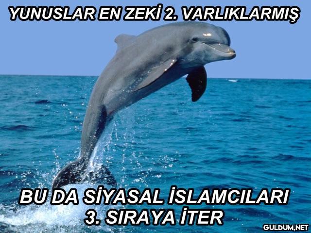 YUNUSLAR EN ZEKİ 2....