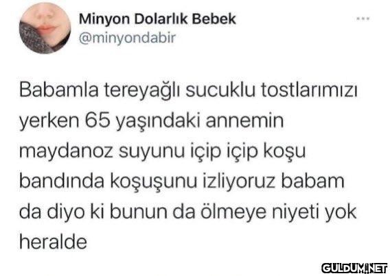 Minyon Dolarlık Bebek...