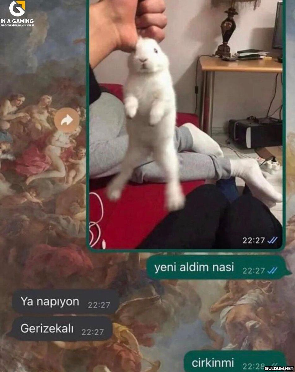 420-)...