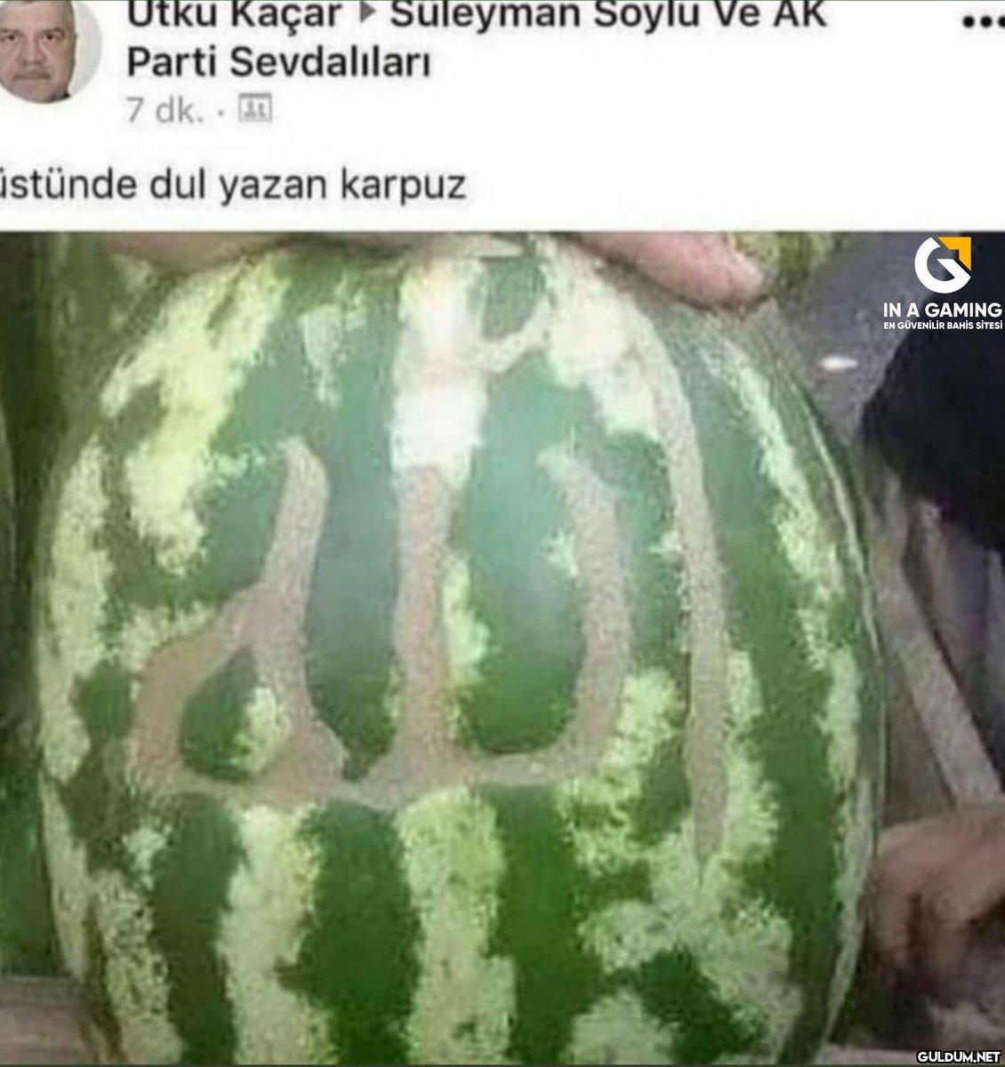 424-) üstünde dul yazan...
