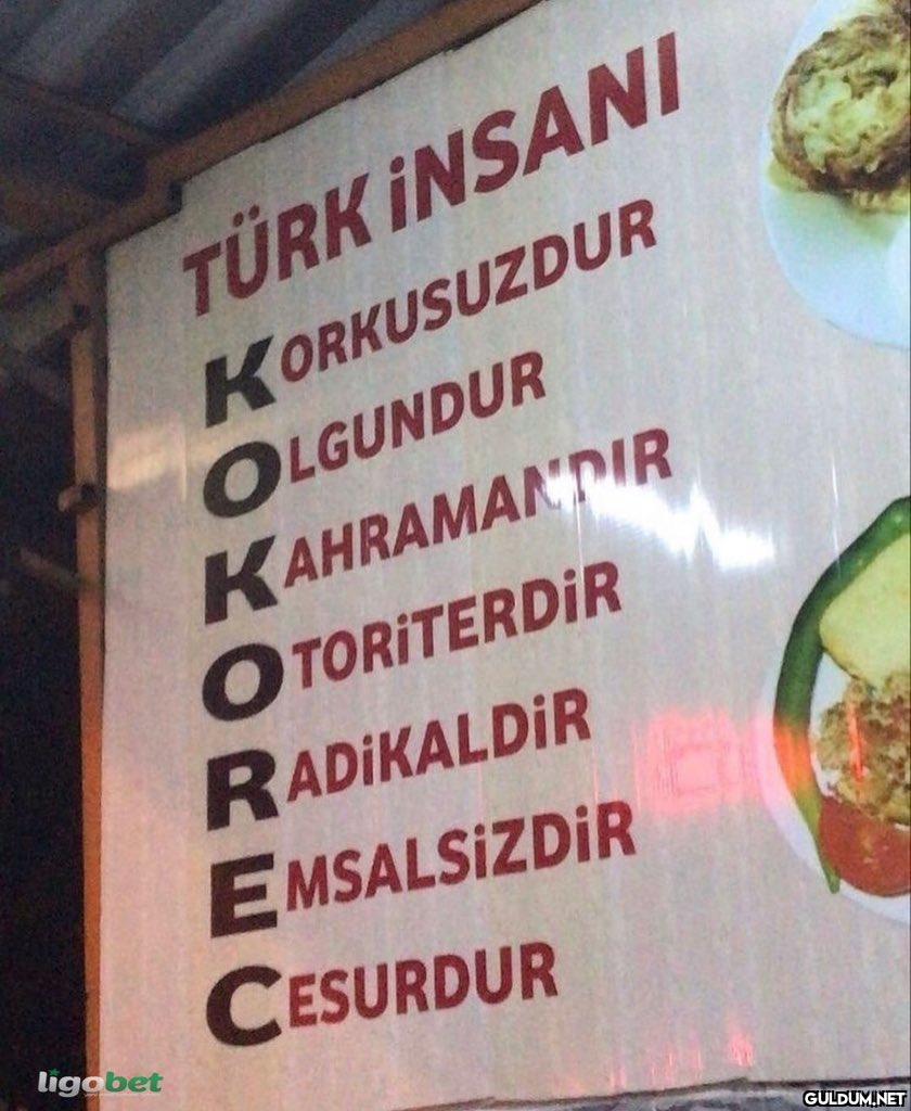 TÜRK İNSANI KORKUSUZDUR...