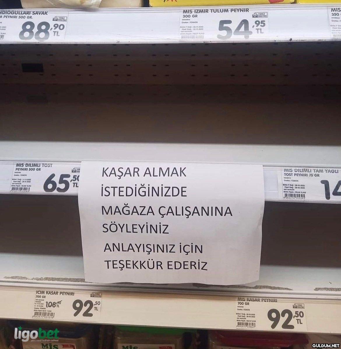 NDIOGULLARI SAVAK M...