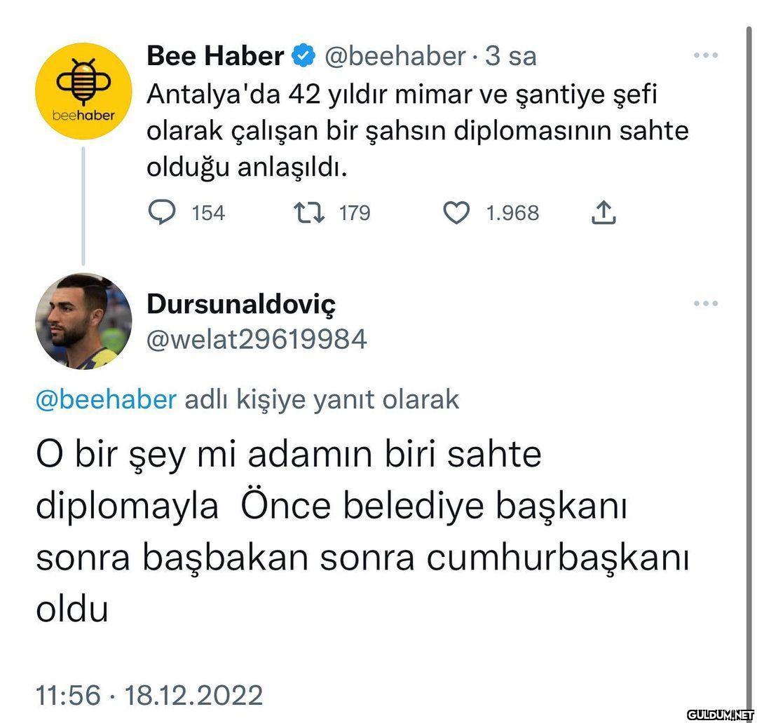 beehaber Bee Haber...