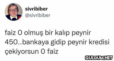sivribiber @sivribiber...