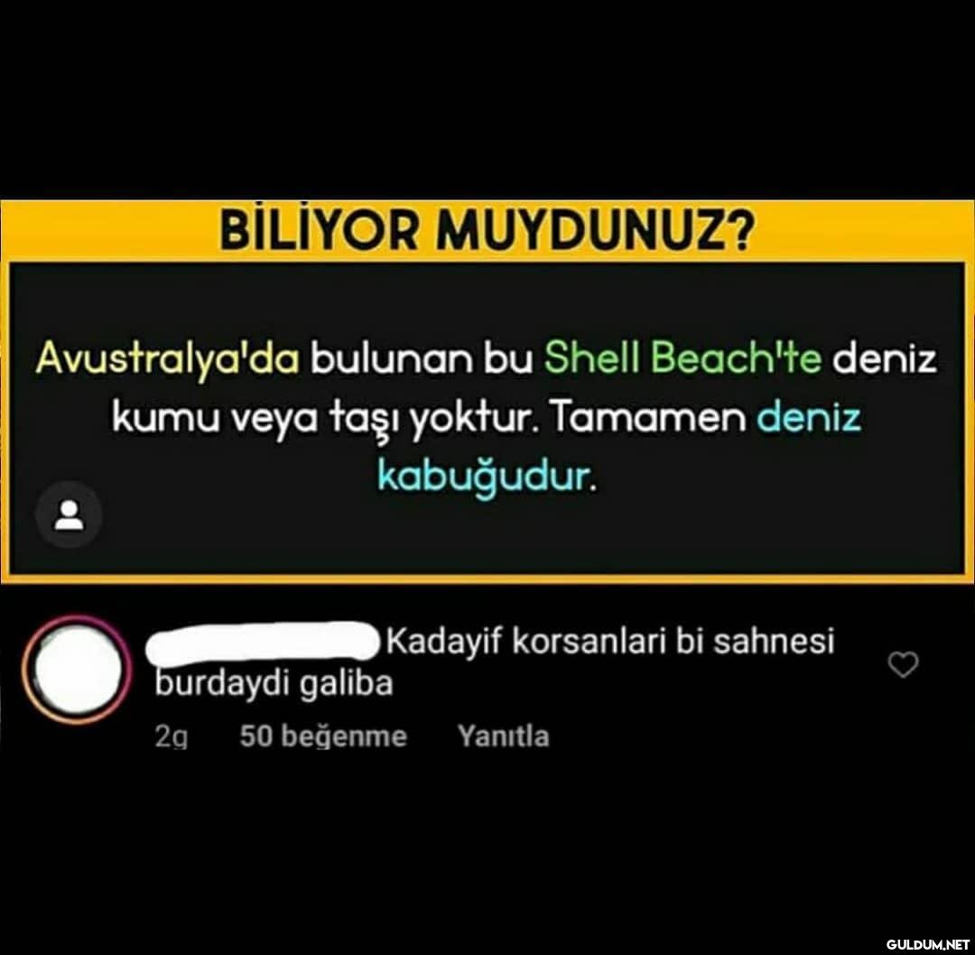 435-) Kadayıf Korsanları...
