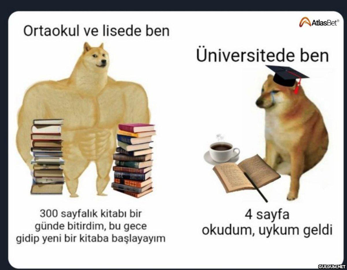 Ortaokul ve lisede ben 300...