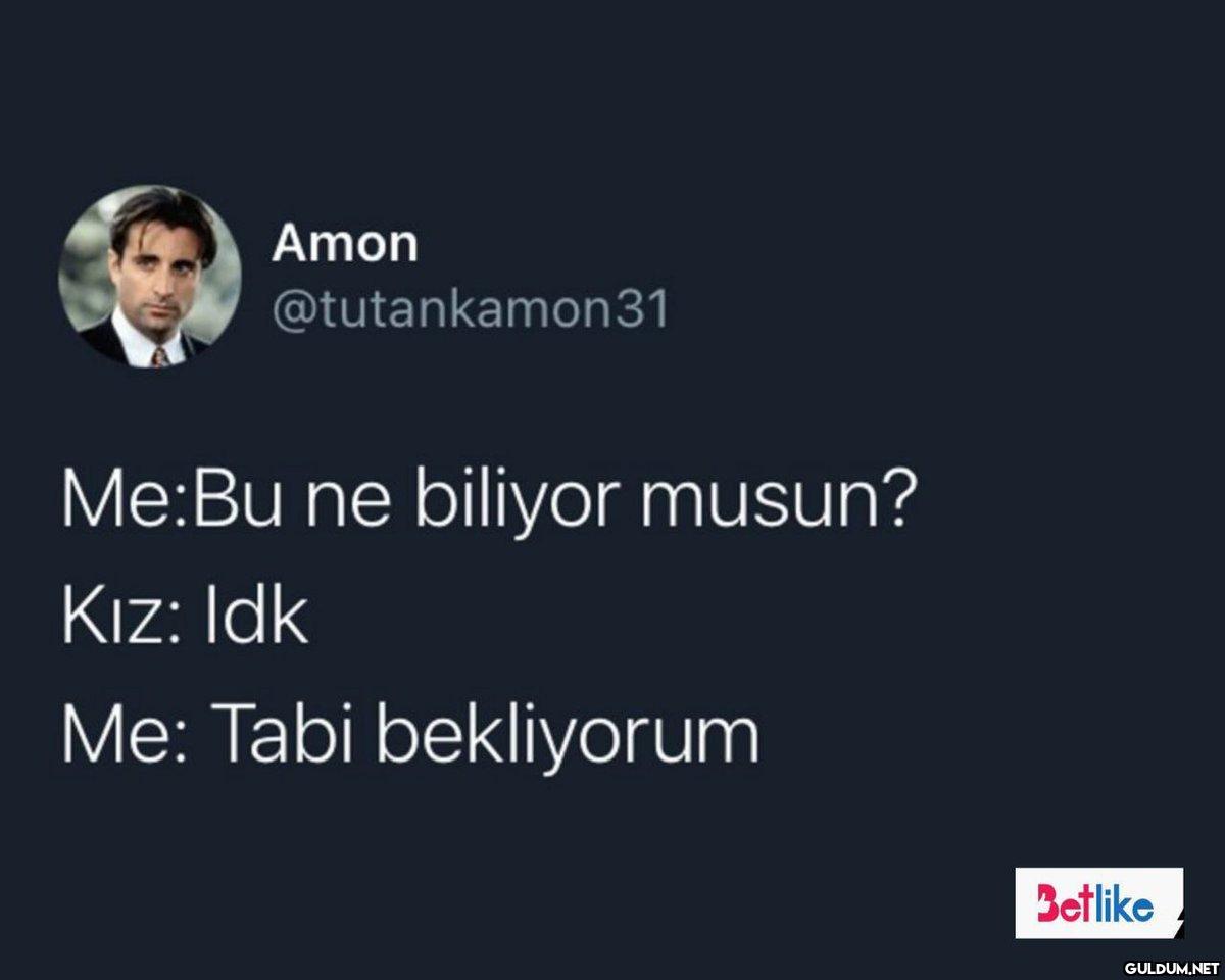 Amon @tutankamon31 Me:Bu...