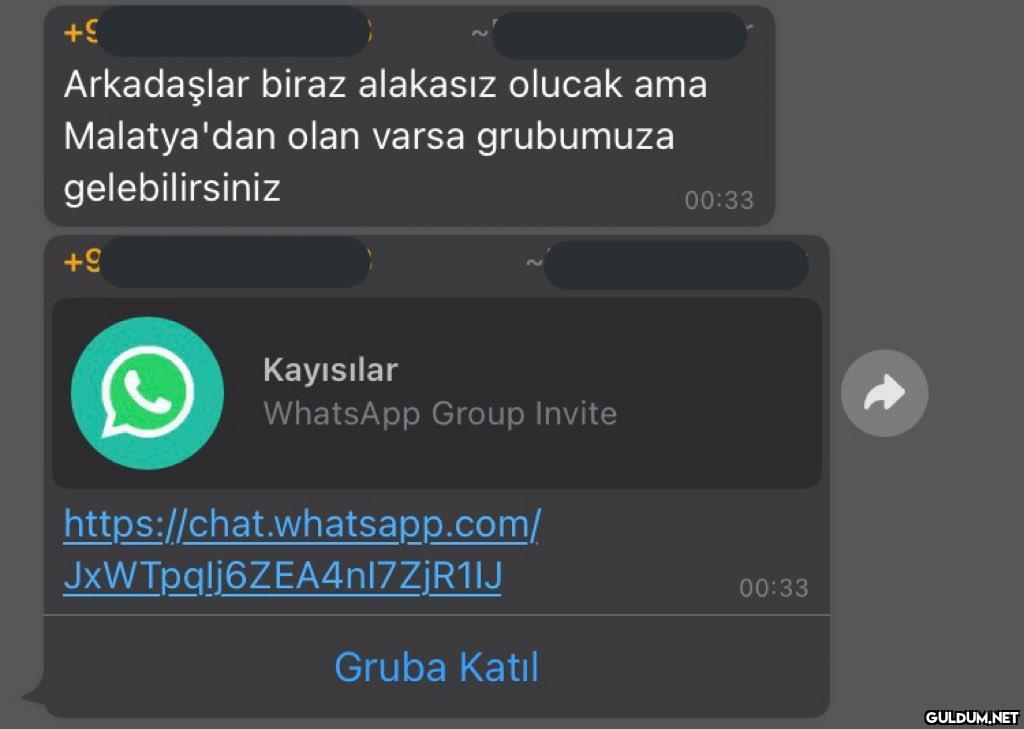 444-) Kayısılar...