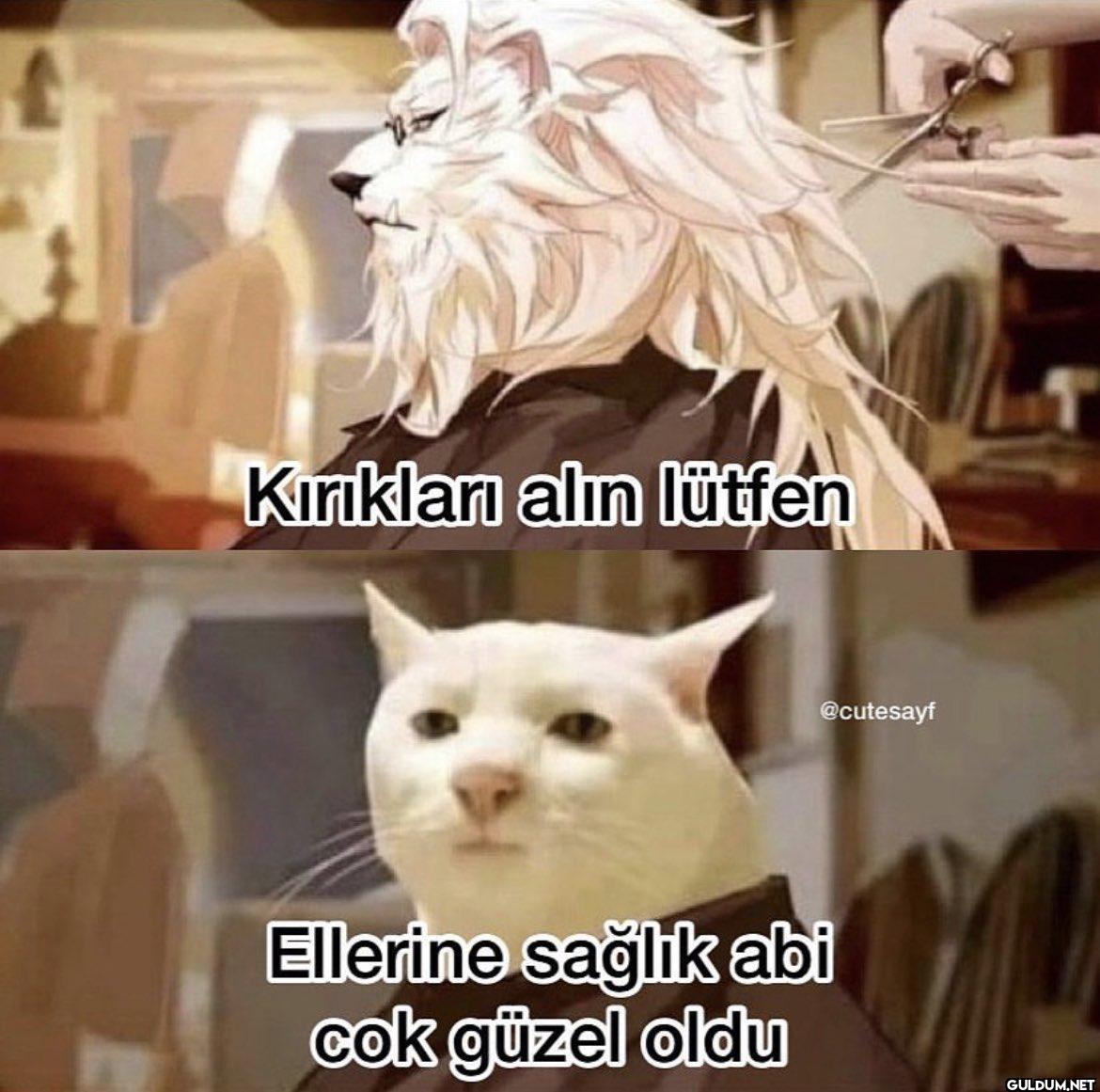 L Kırıkları alın lütfen...