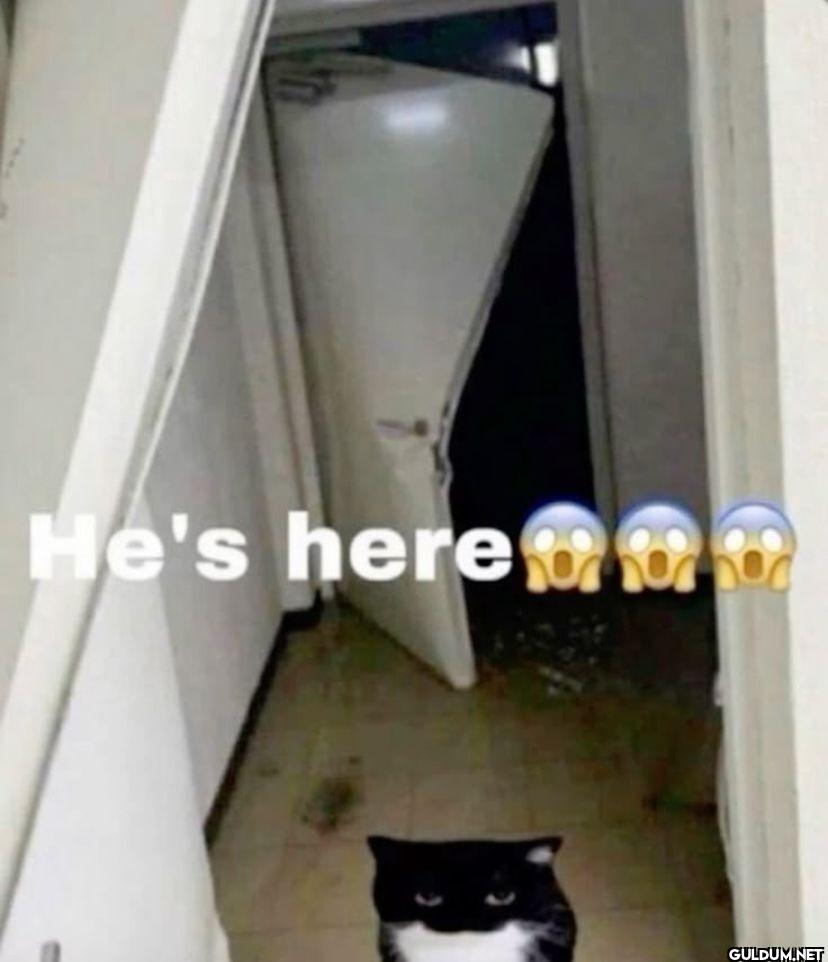 He's here