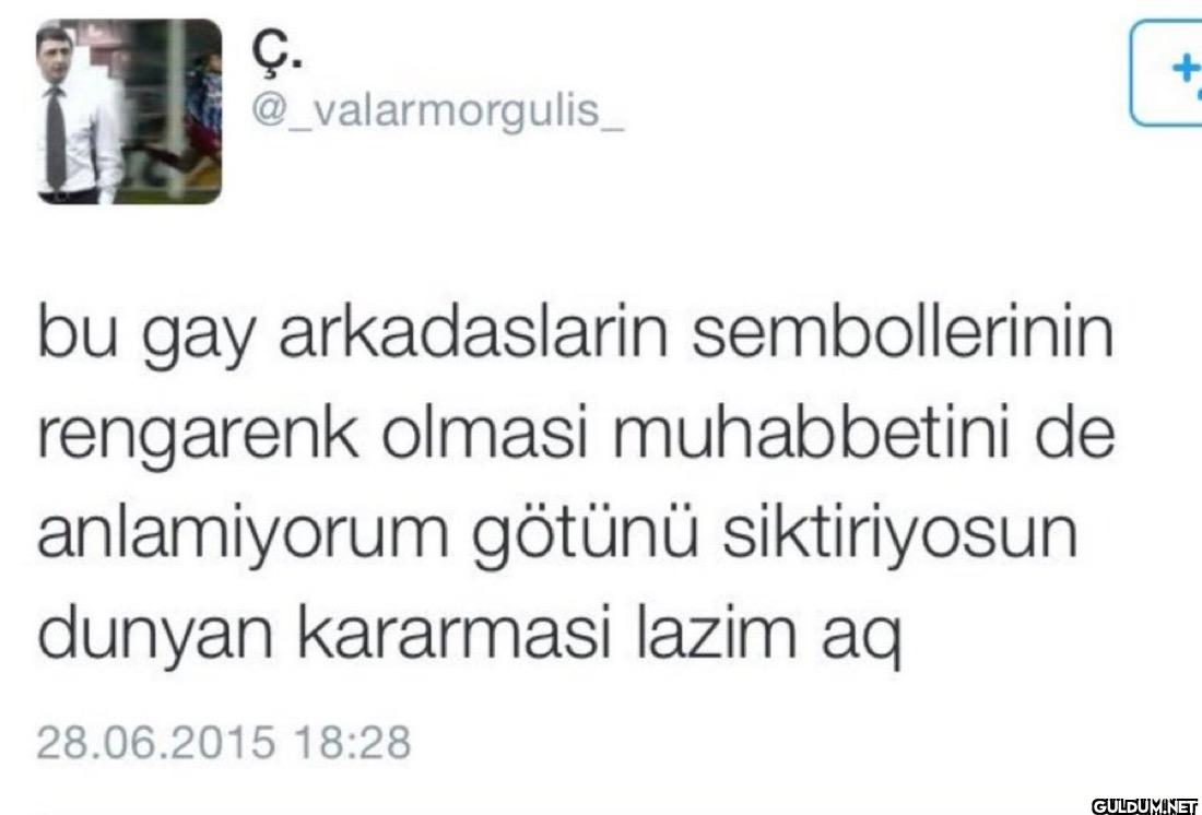 + bu gay arkadaslarin...