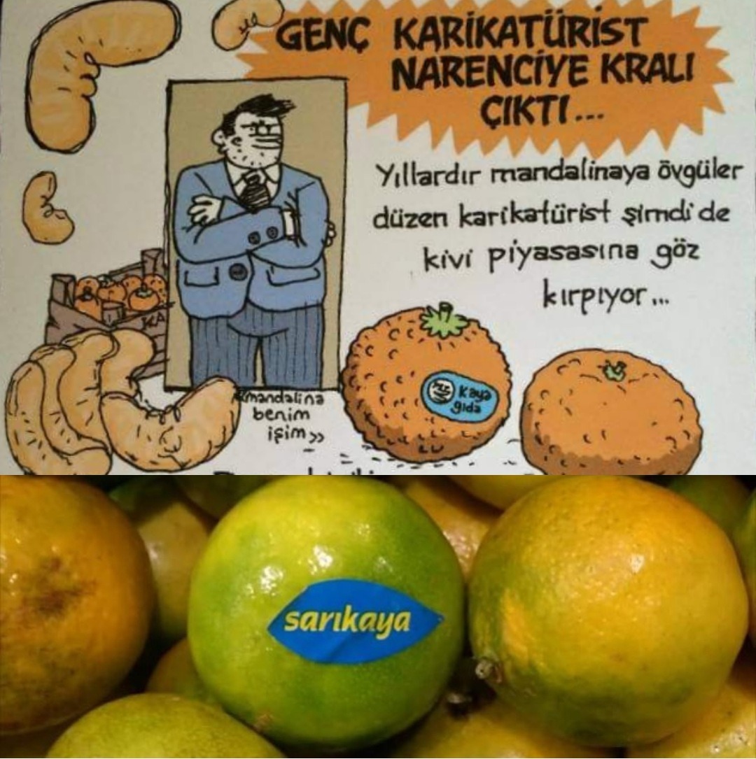Narenciye Kralı...