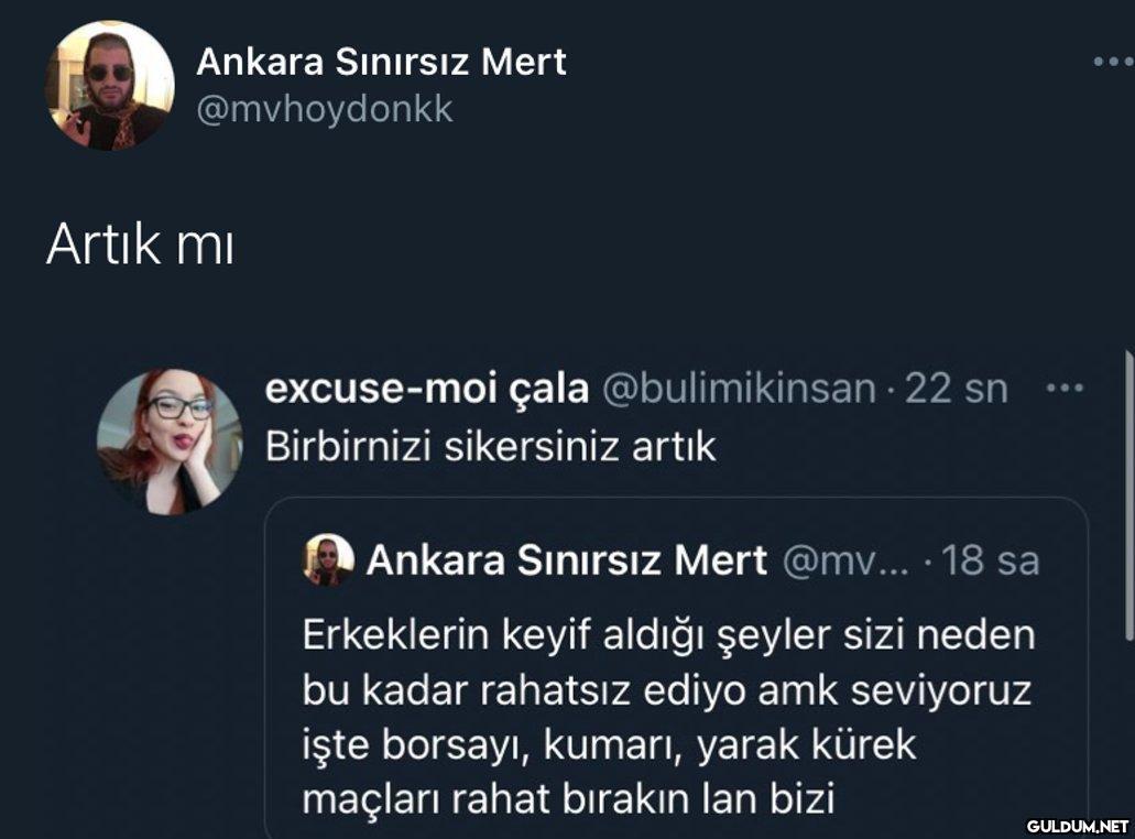 Ankara Sınırsız Mert...