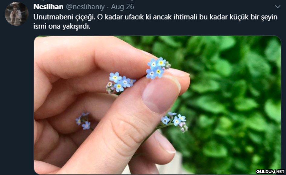 Neslihan @neslihaniy. Aug...