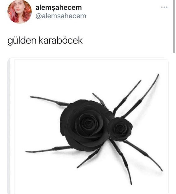 Aahahhahahhahahahha...