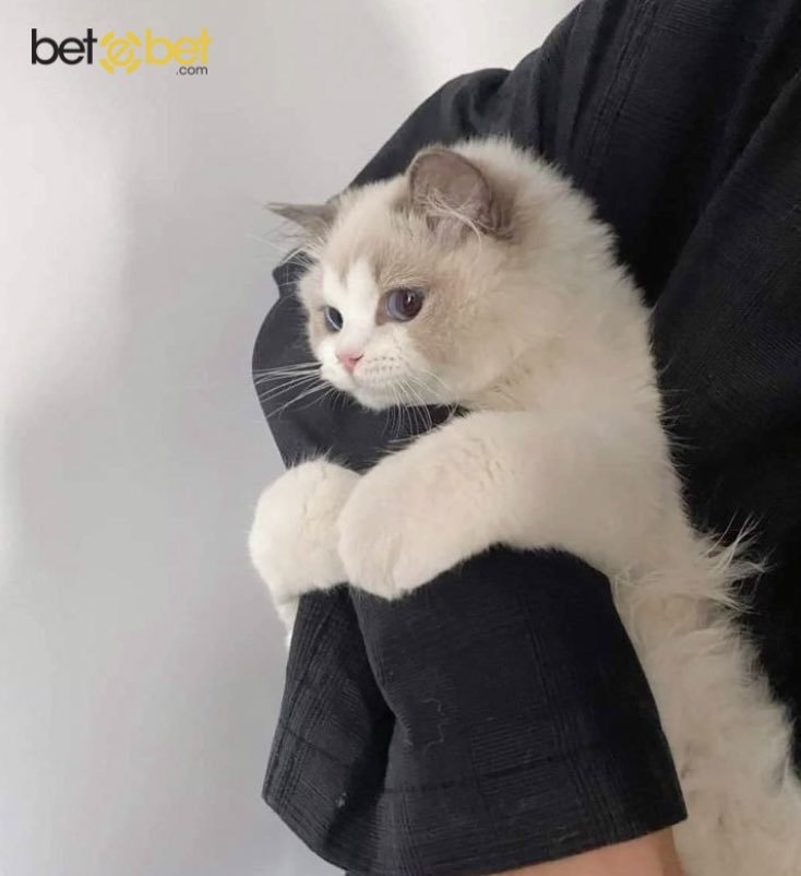 Benim temas bağımlılığı...