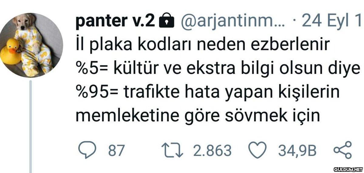 panter v.2 @arjantinm......