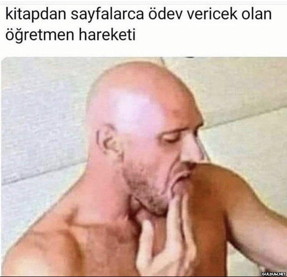 kitapdan sayfalarca ödev...