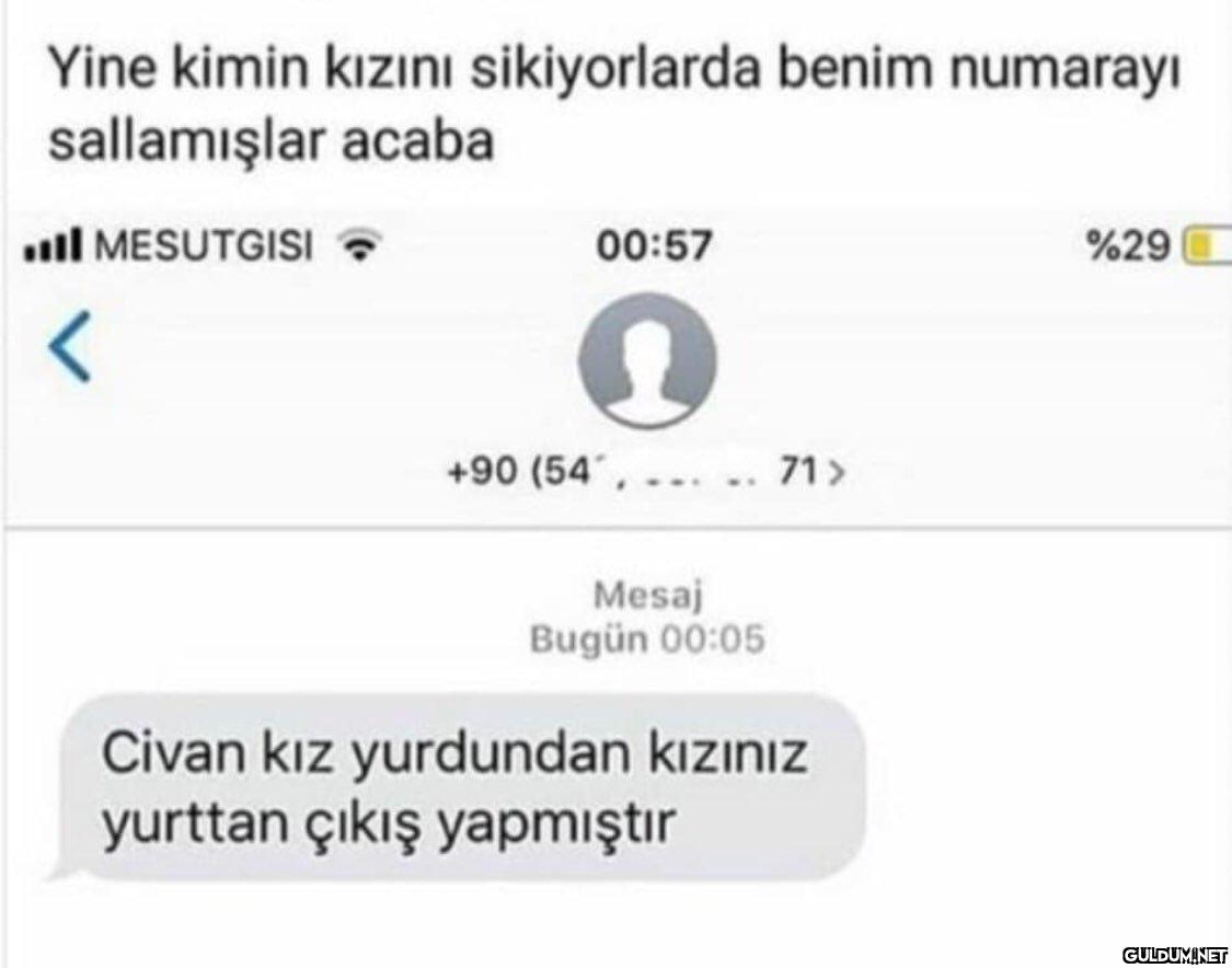 Yine kimin kızını...