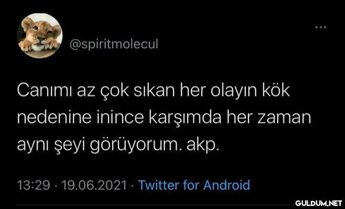 @spiritmolecul Canımı az...