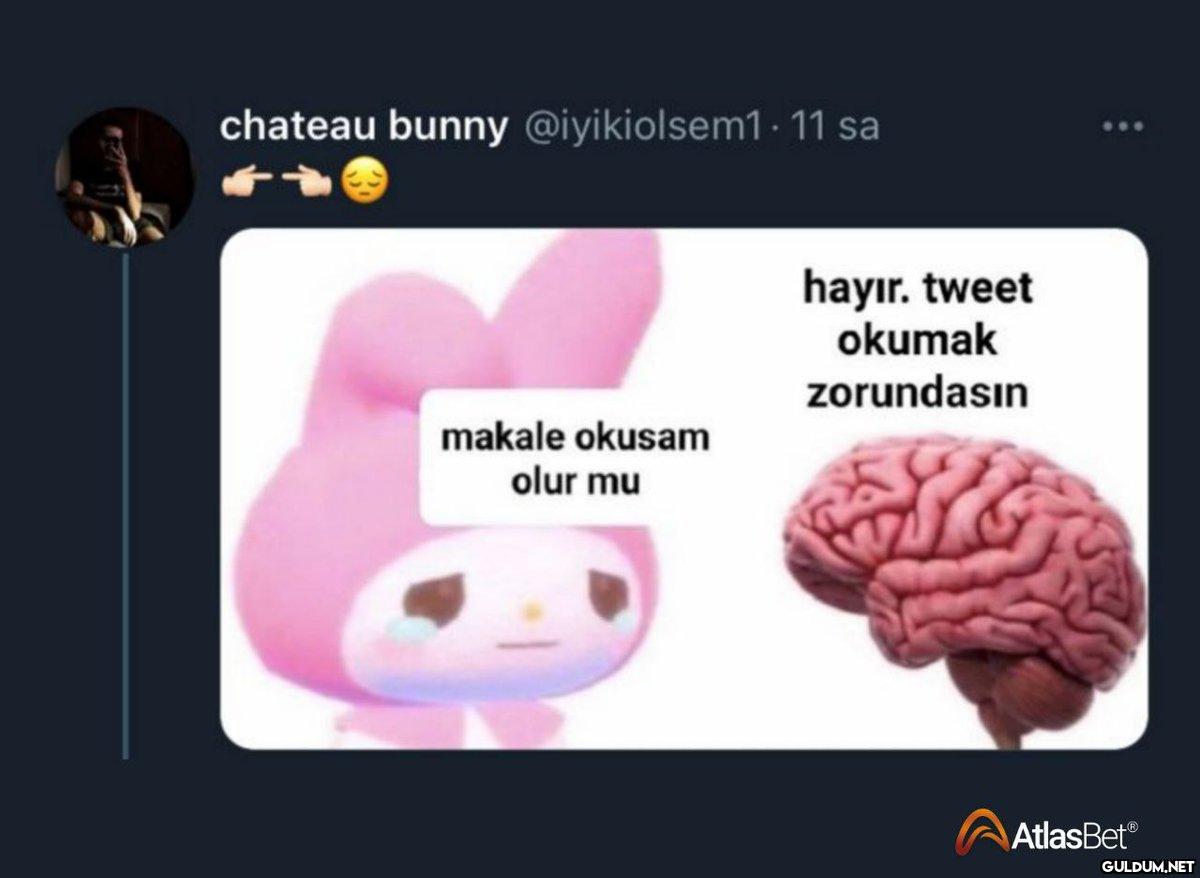 chateau bunny @iyikiolsem1...