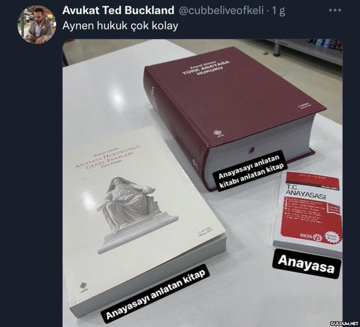Avukat Ted Buckland...