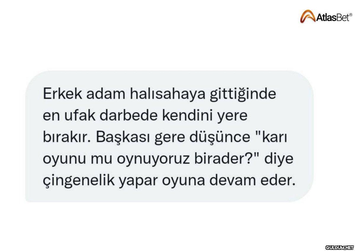 Erkek adam halısahaya...