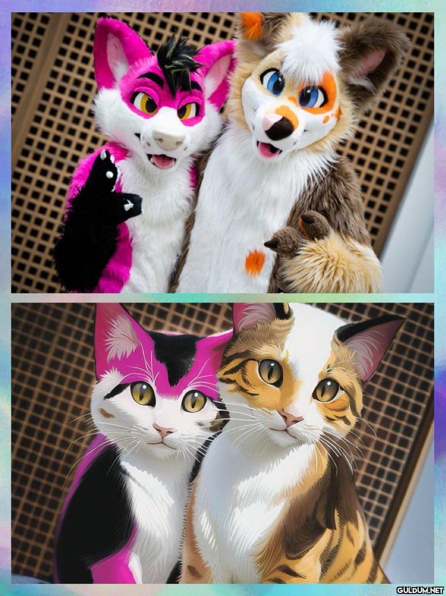 Kaynak