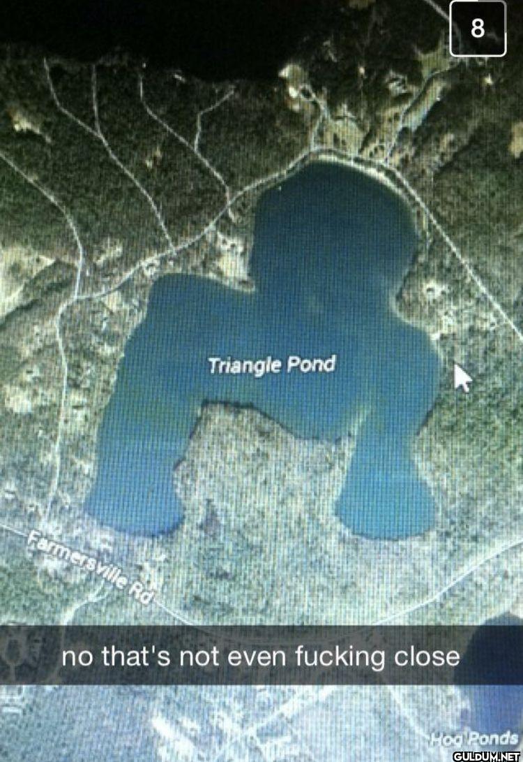 8 Triangle Pond...