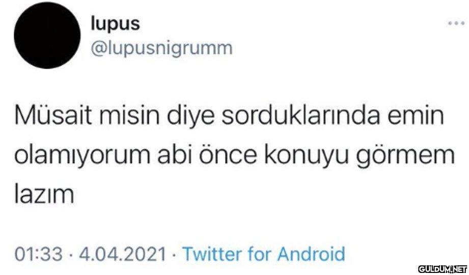 lupus @lupusnigrumm Müsait...
