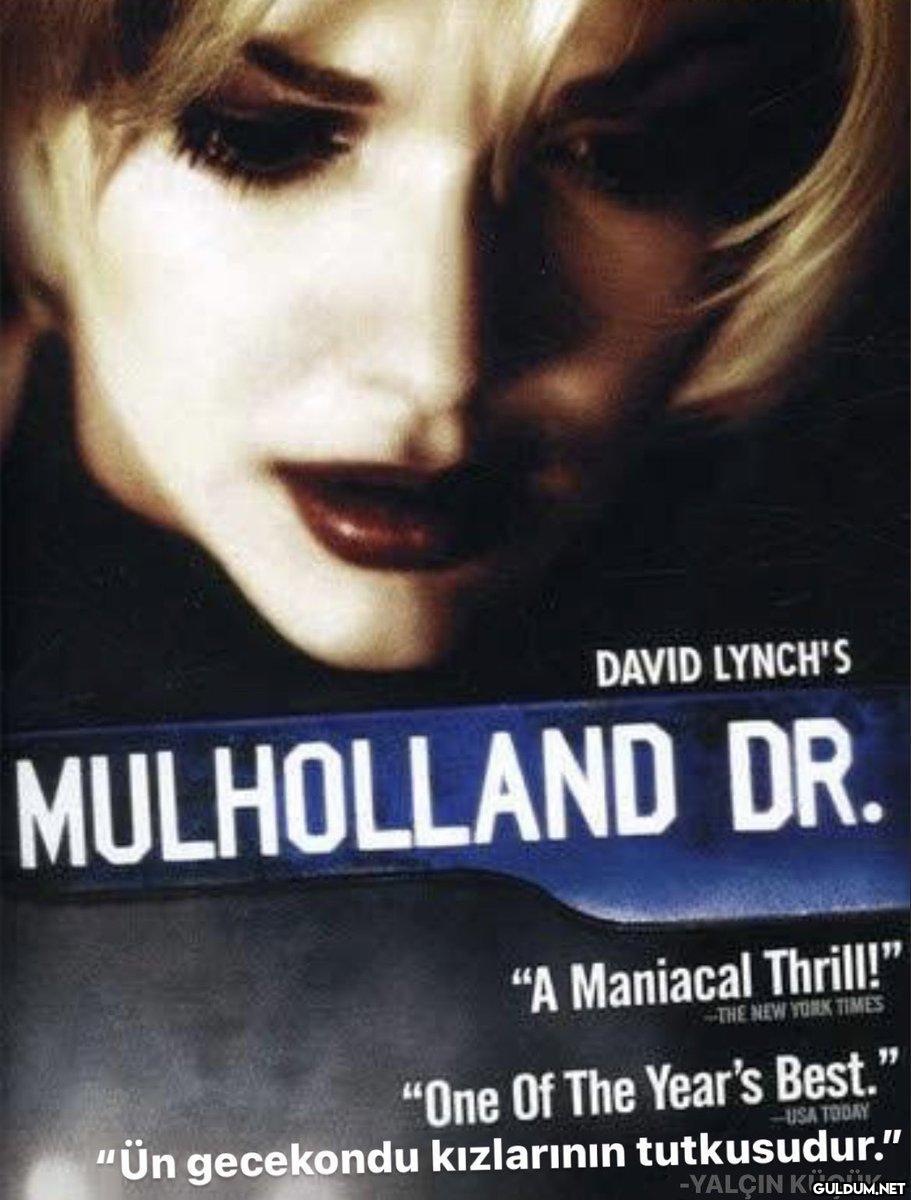 DAVID LYNCH'S MULHOLLAND...