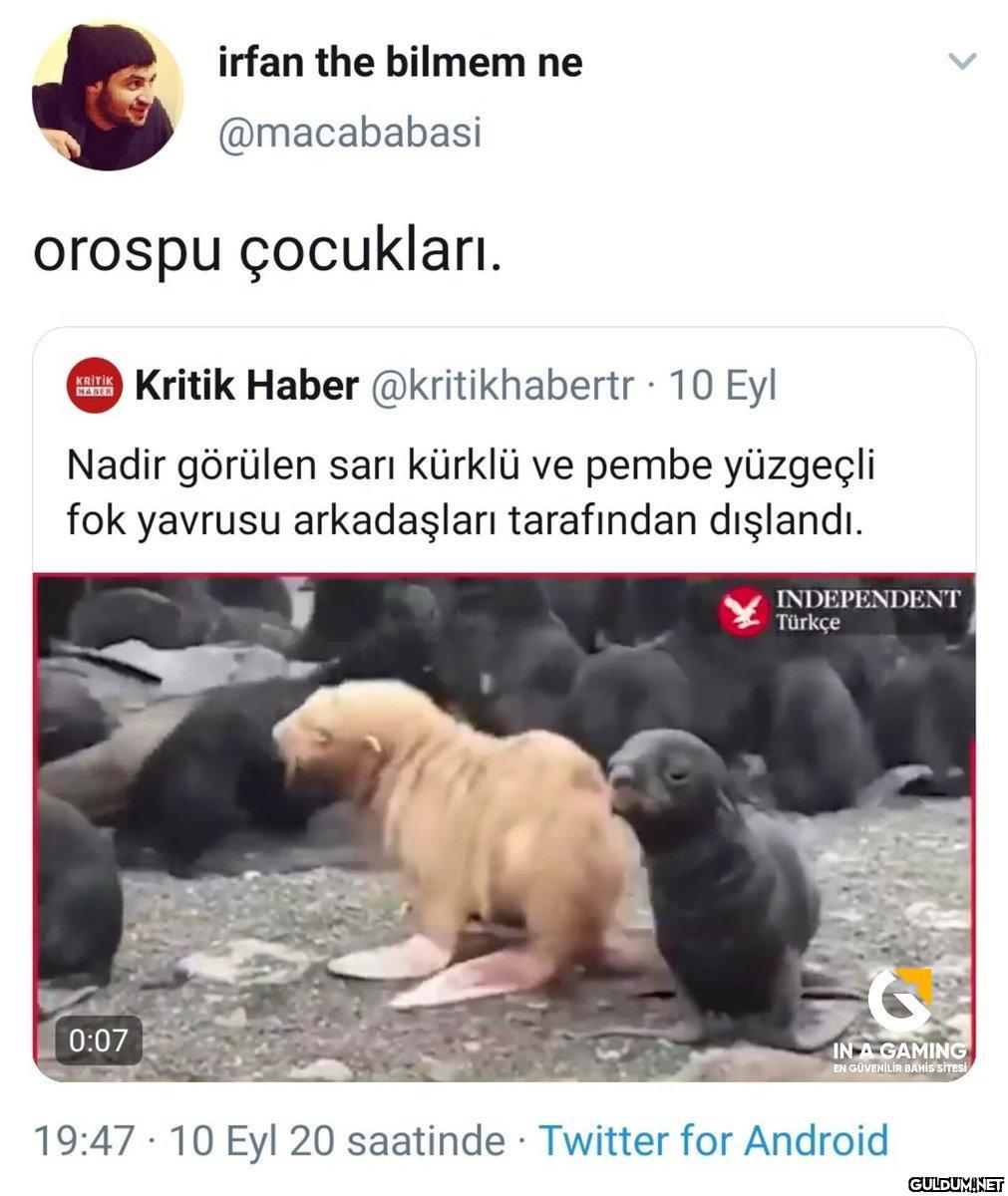 481-) Rengi farklı olduğu...