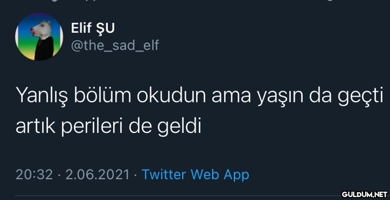 Elif ŞU @the_sad_elf...