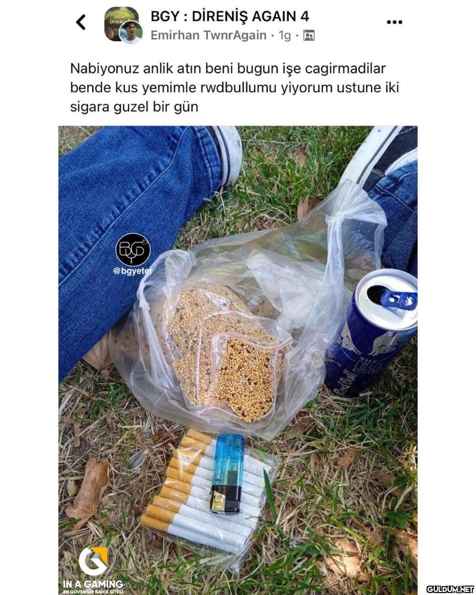 485-) Kuş yemi yiyen çocuk...
