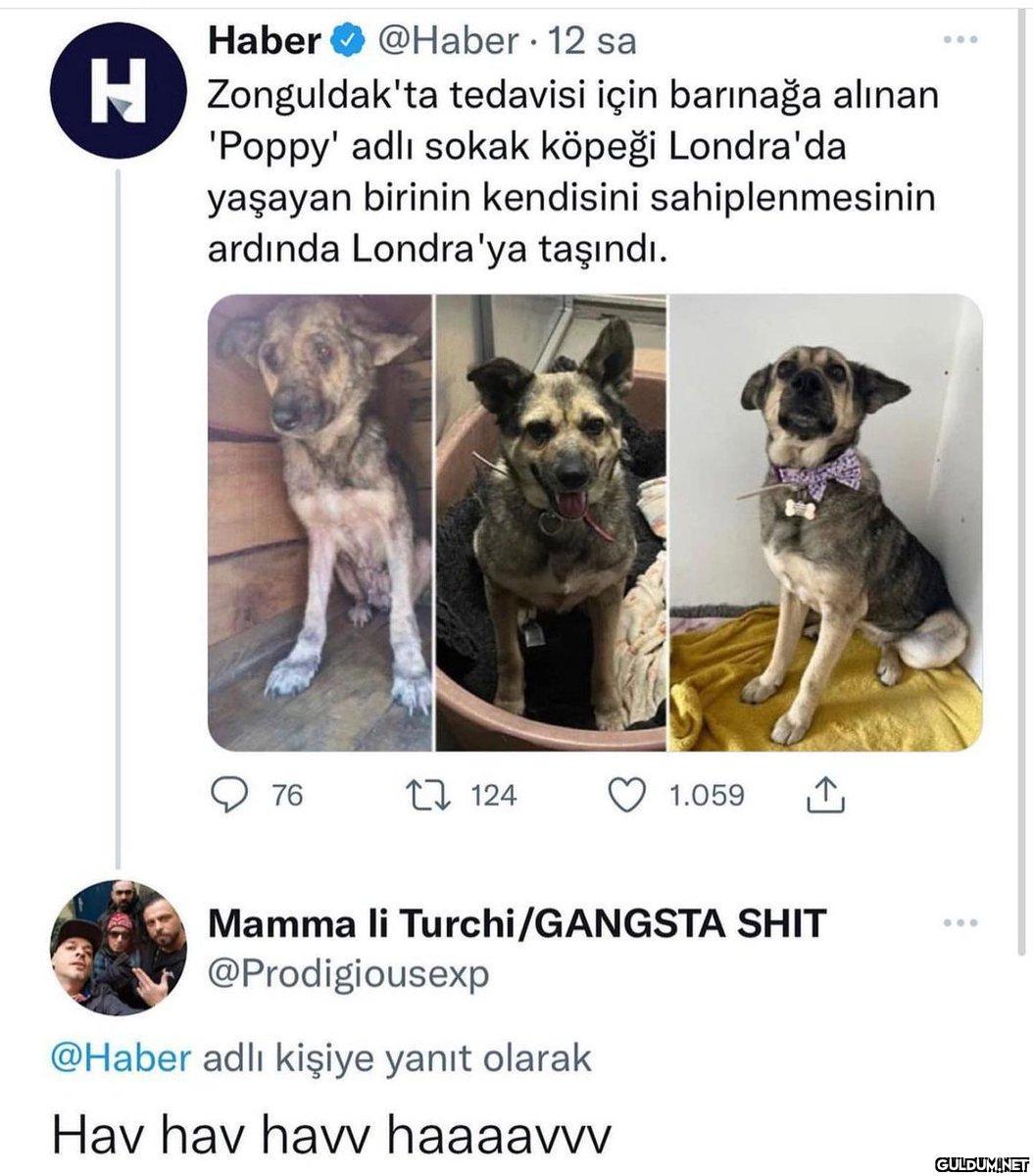 Haber @Haber 12 sa...