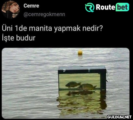 Cemre Route bet...