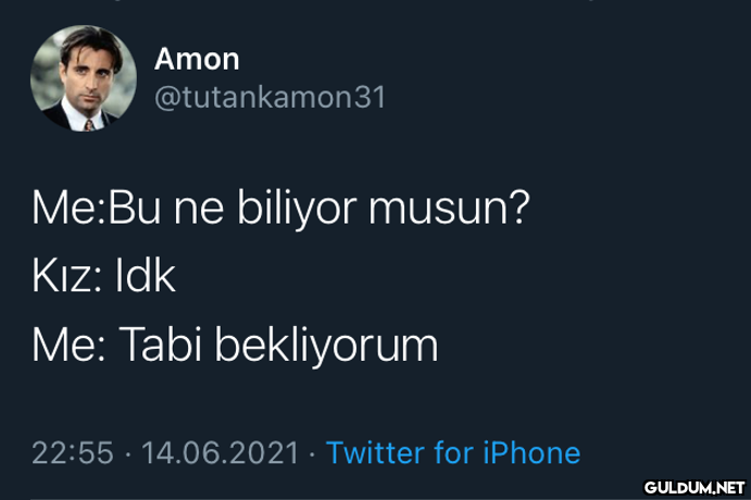 Amon @tutankamon31 Me:Bu...