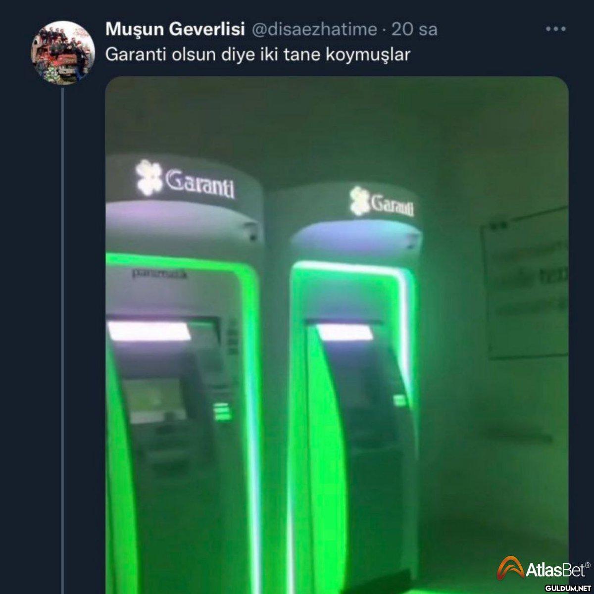 Muşun Geverlisi...