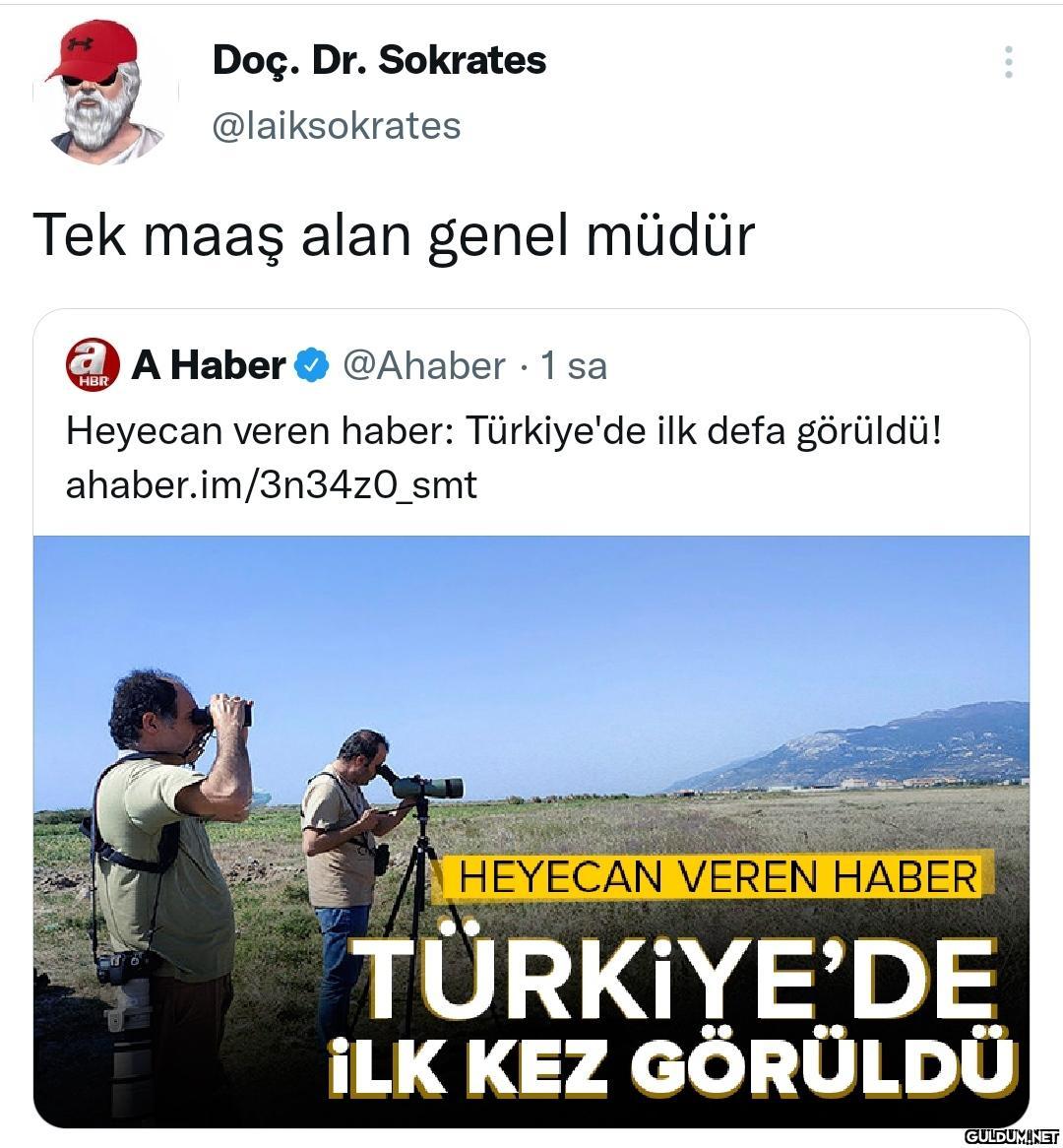 Doç. Dr. Sokrates...