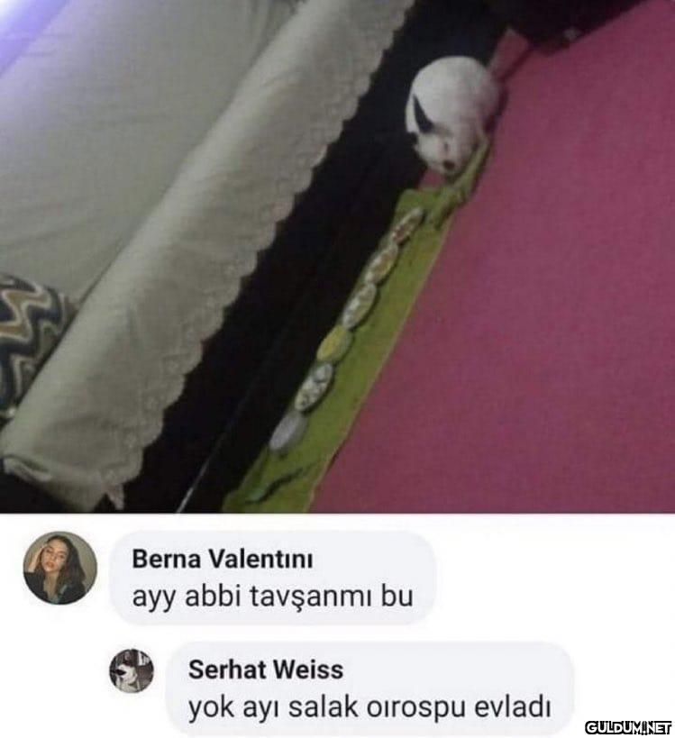https://t.co/xtS02EaLIi  ...