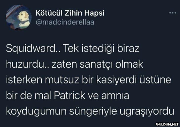 https://t.co/B3auF241Gq  ...