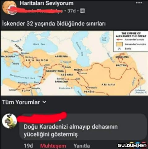 494-) iskender...