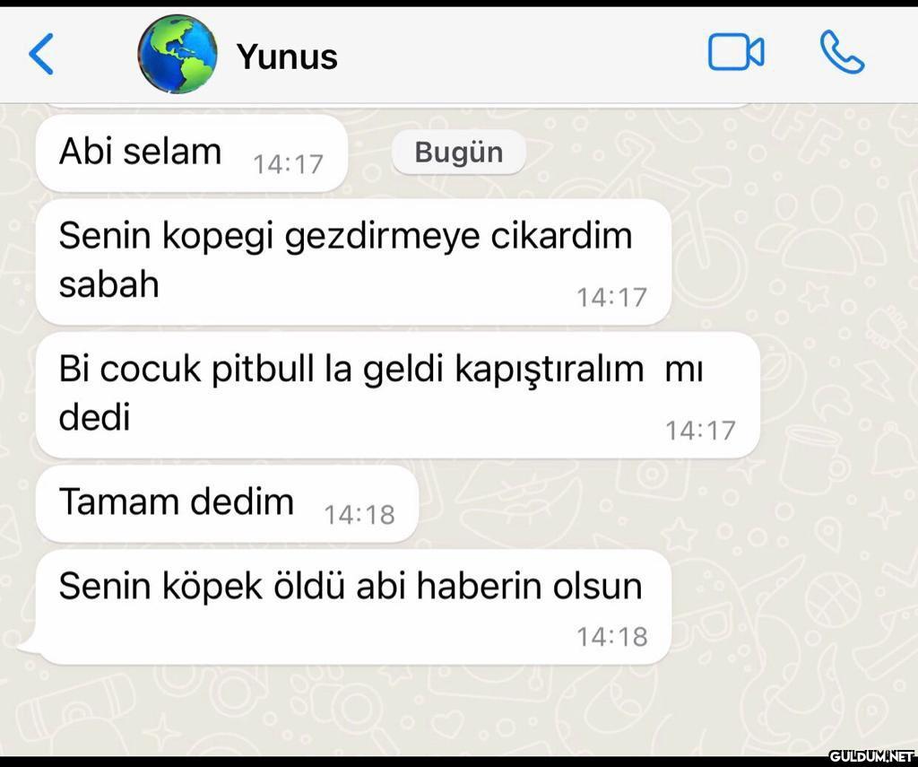 https://t.co/w7fSpIbtAm  ...