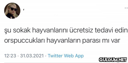 şu sokak hayvanlarını...