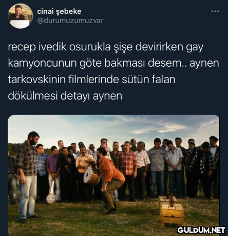 cinai şebeke...