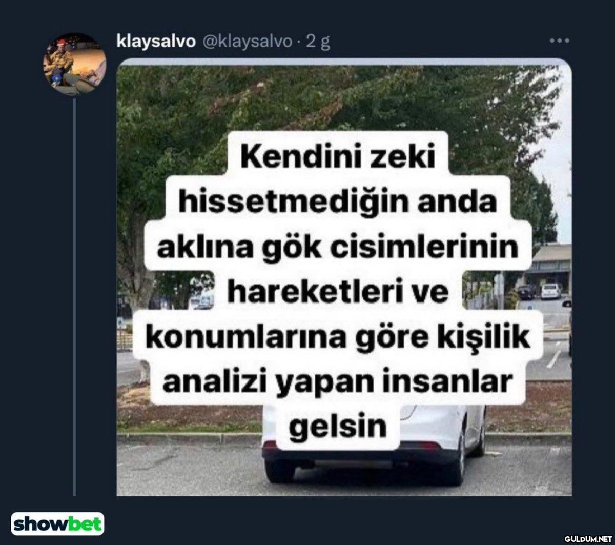 showbet klaysalvo...