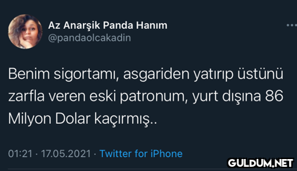 Az Anarşik Panda Hanım...
