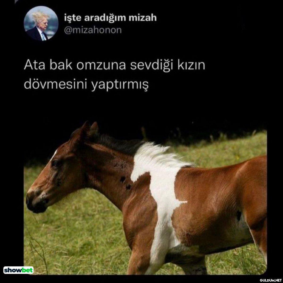 işte aradığım mizah...