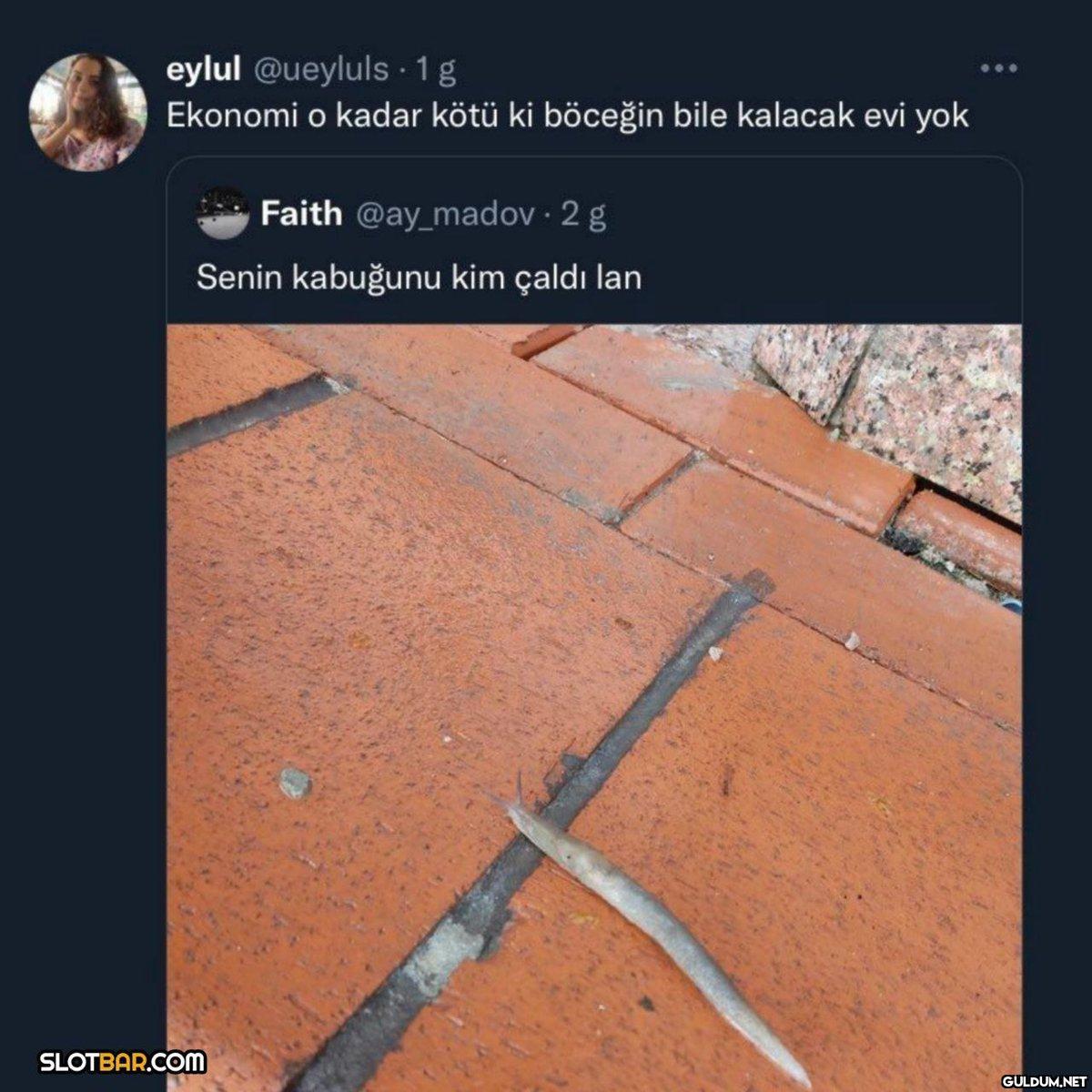 eylul @ueyluls. 1 g...